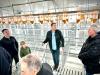 AGROFERT Continues to Invest in Pig Farming