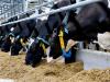 Le Vitalimetr FA25 de Farmtec a remporté un prix dans la catégorie Agriculture intelligente