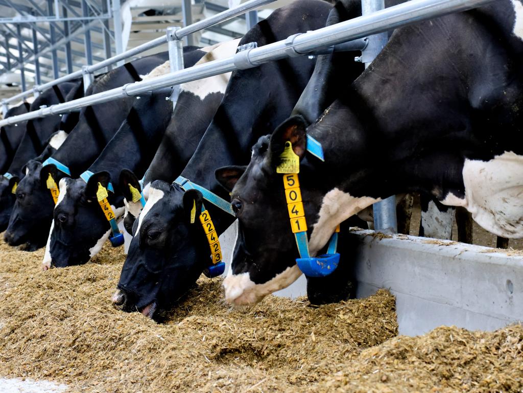 Vitalimetr FA25 od Farmtec získal ocenění v kategorii Smart Farming