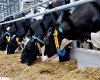 Le Vitalimetr FA25 de Farmtec a remporté un prix dans la catégorie Agriculture intelligente