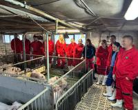 PigCamp propojuje studenty a pedagogy s moderními farmami