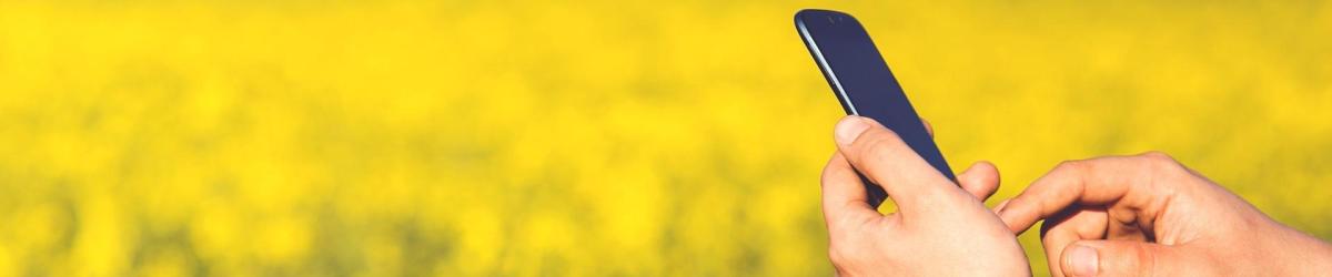 Header image